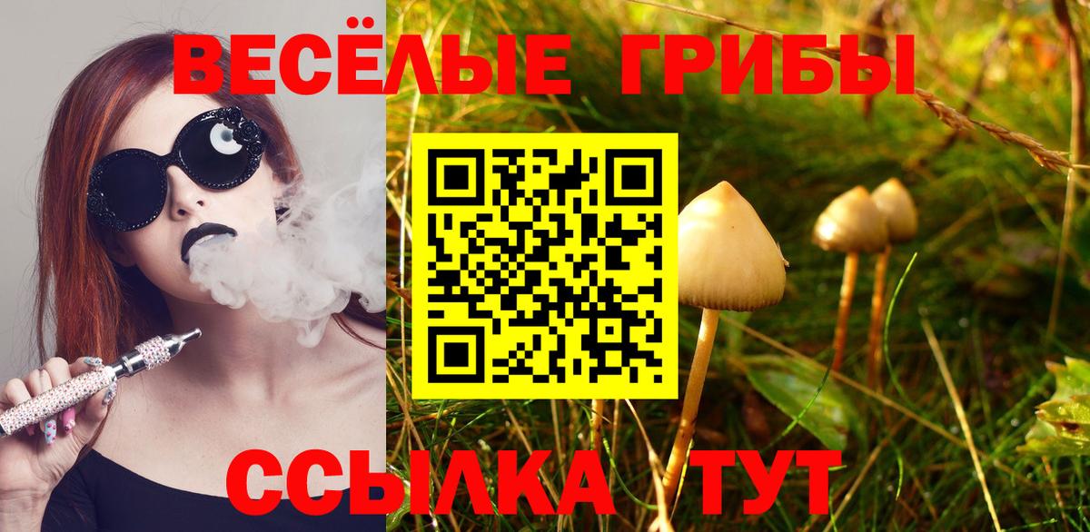 Псилоцибиновые грибы Cubensis  Галлюциногенные грибы ЛСД  Вход с VPN  Конаково 