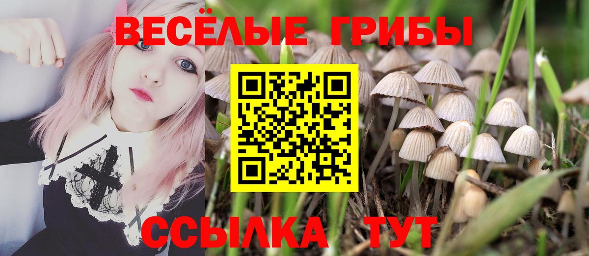 Галлюциногенные грибы мицелий Конаково